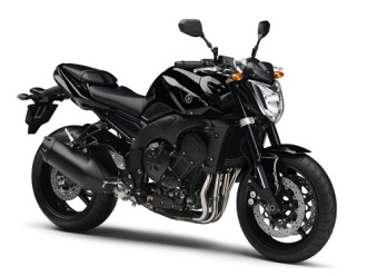 FZ1